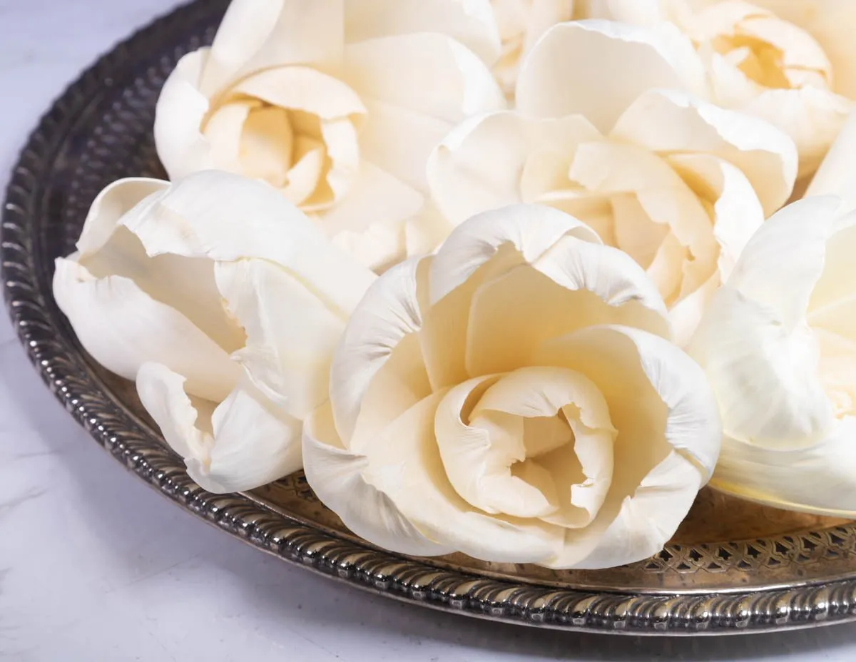 4" Precious Tulip (10 Pack)