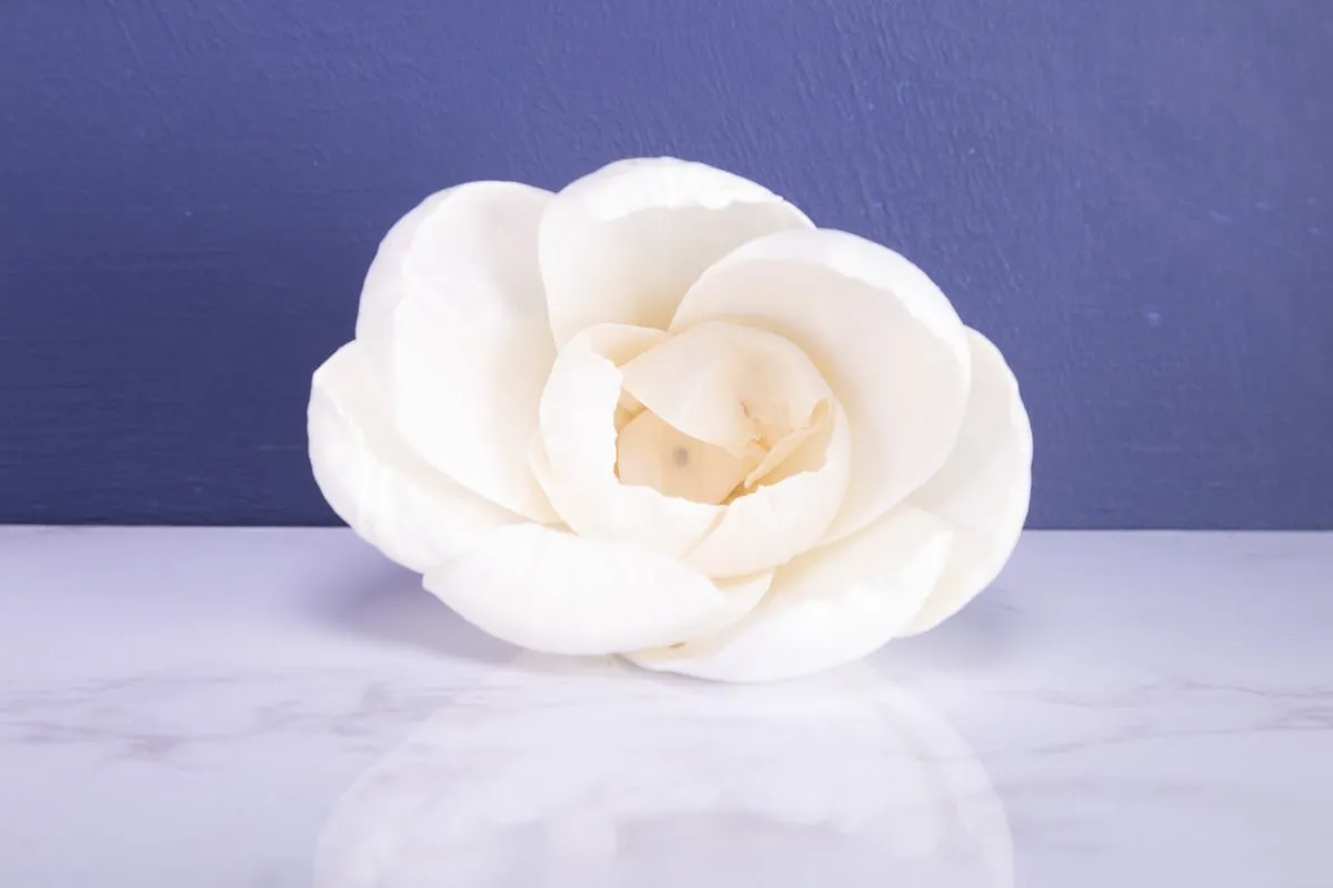 4" Precious Tulip (10 Pack)