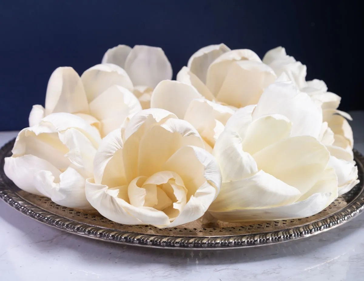 4" Precious Tulip (10 Pack)