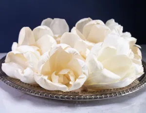 4" Precious Tulip (10 Pack)
