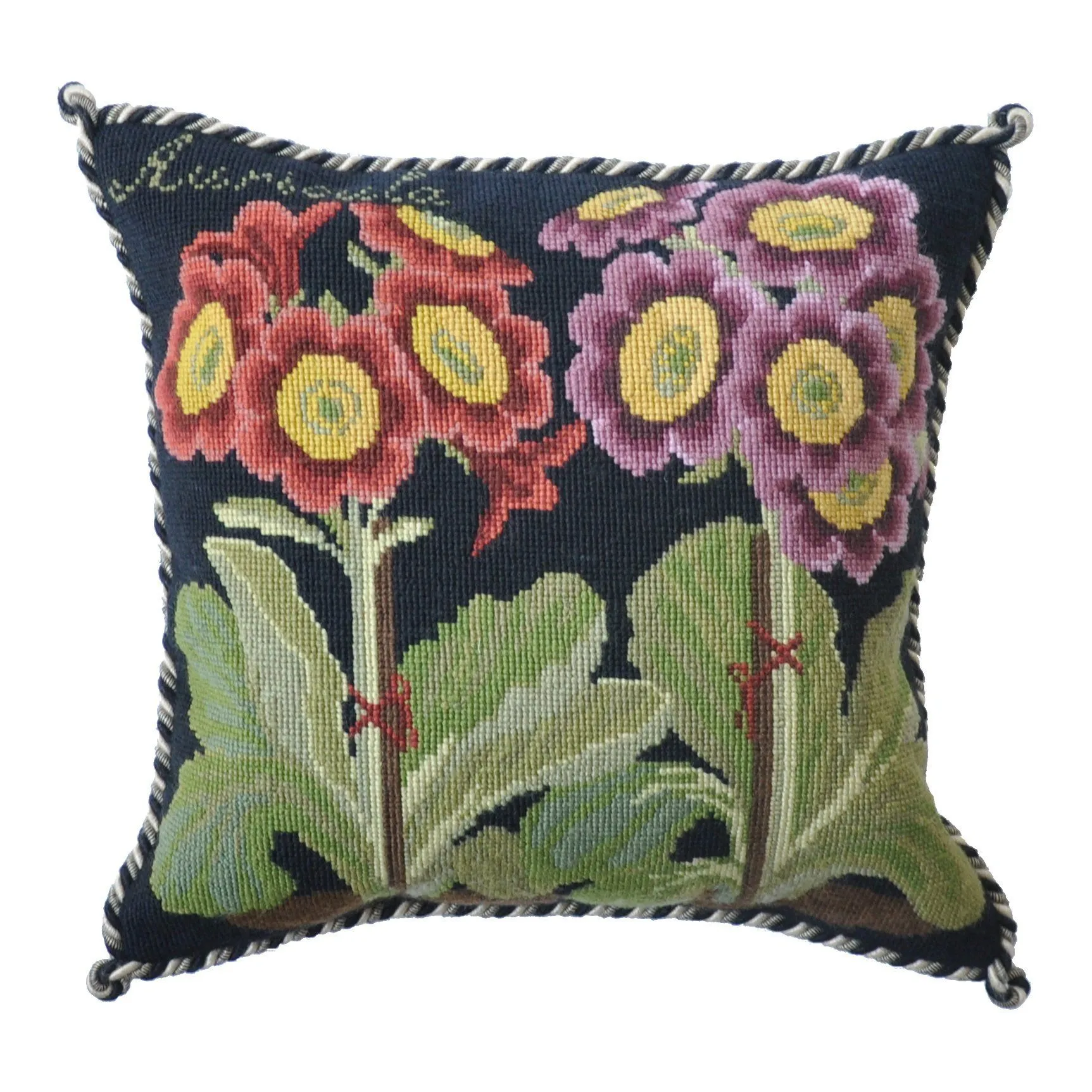 Auricula