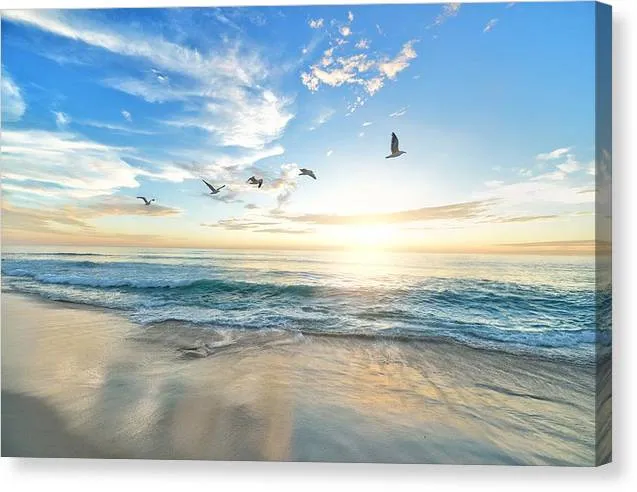 Birds over Sunset - Canvas Print