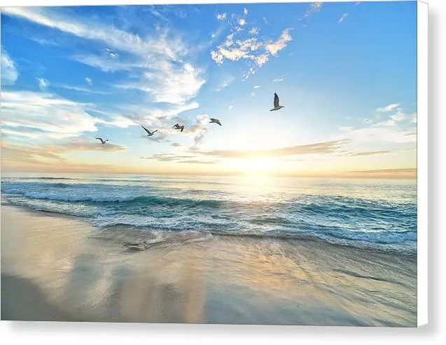 Birds over Sunset - Canvas Print