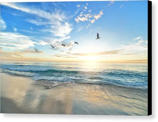 Birds over Sunset - Canvas Print