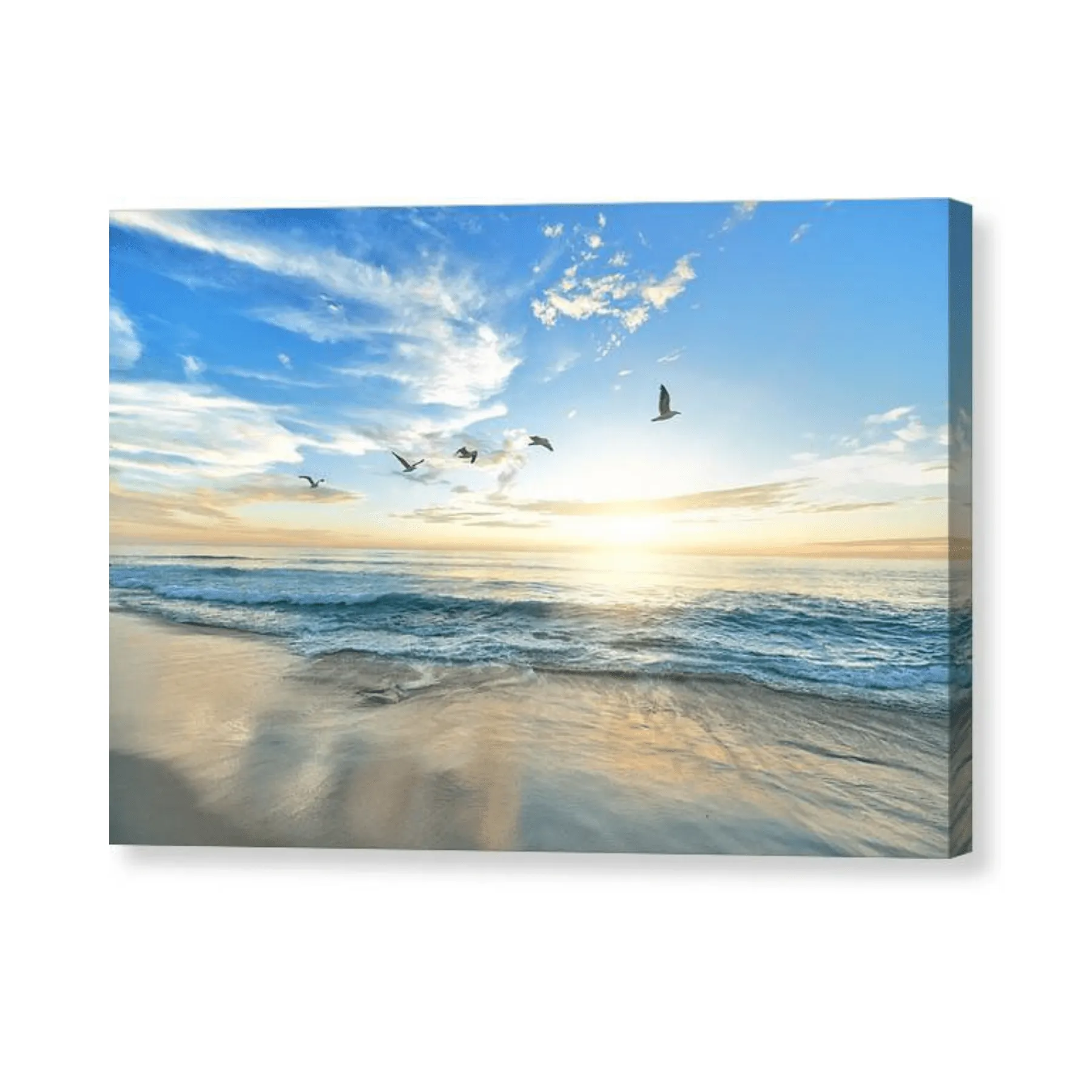 Birds over Sunset - Canvas Print