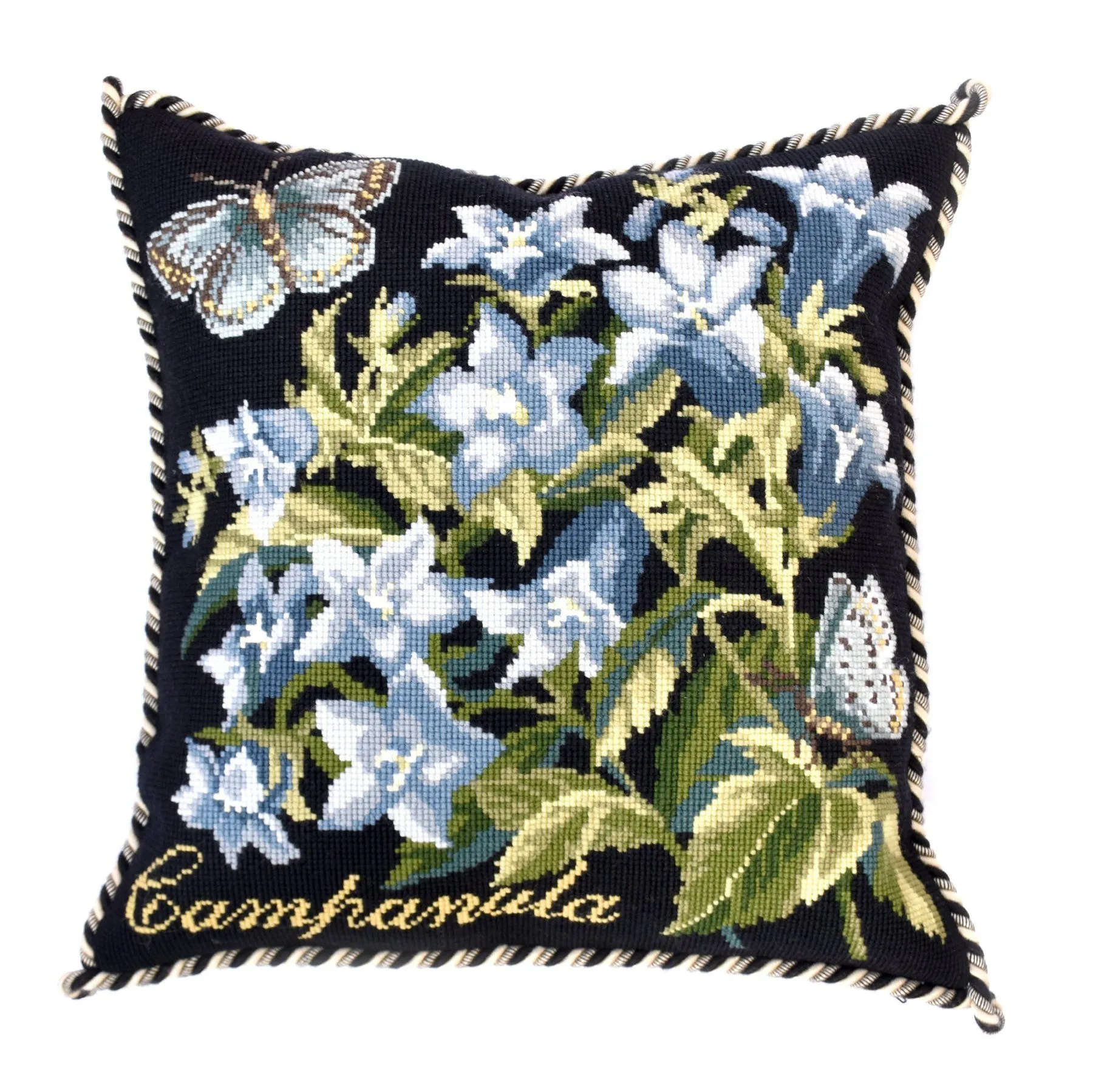 Campanula