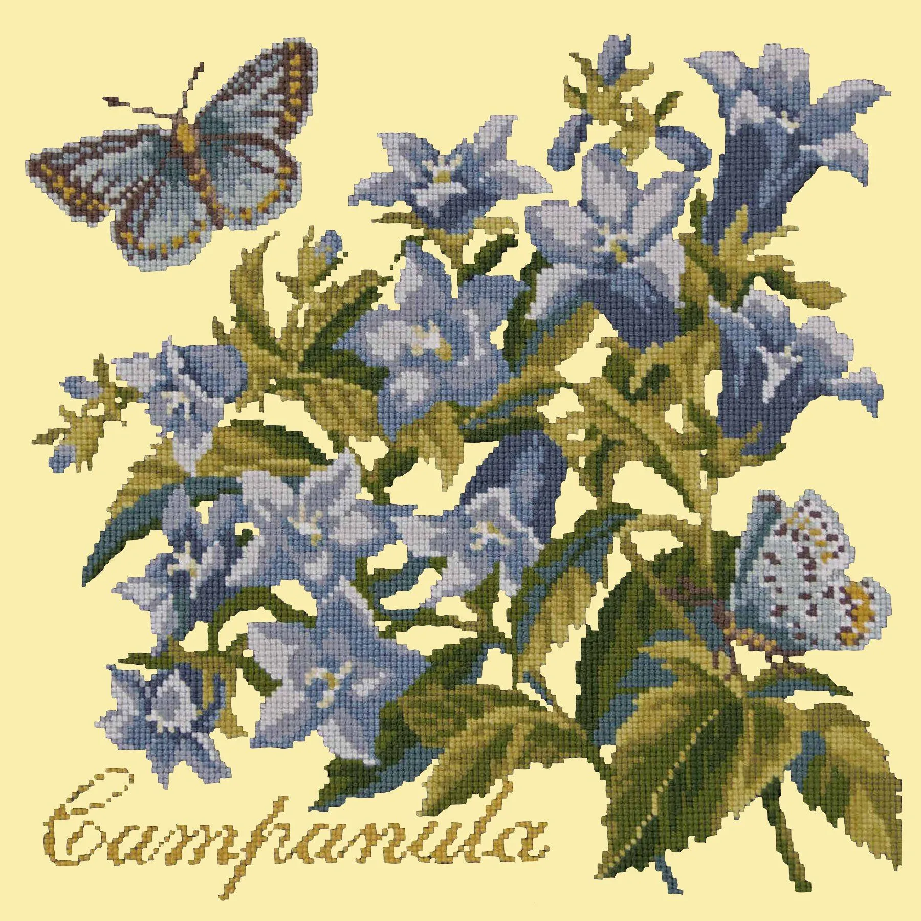 Campanula