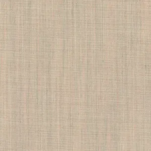 Canvas 2, 216