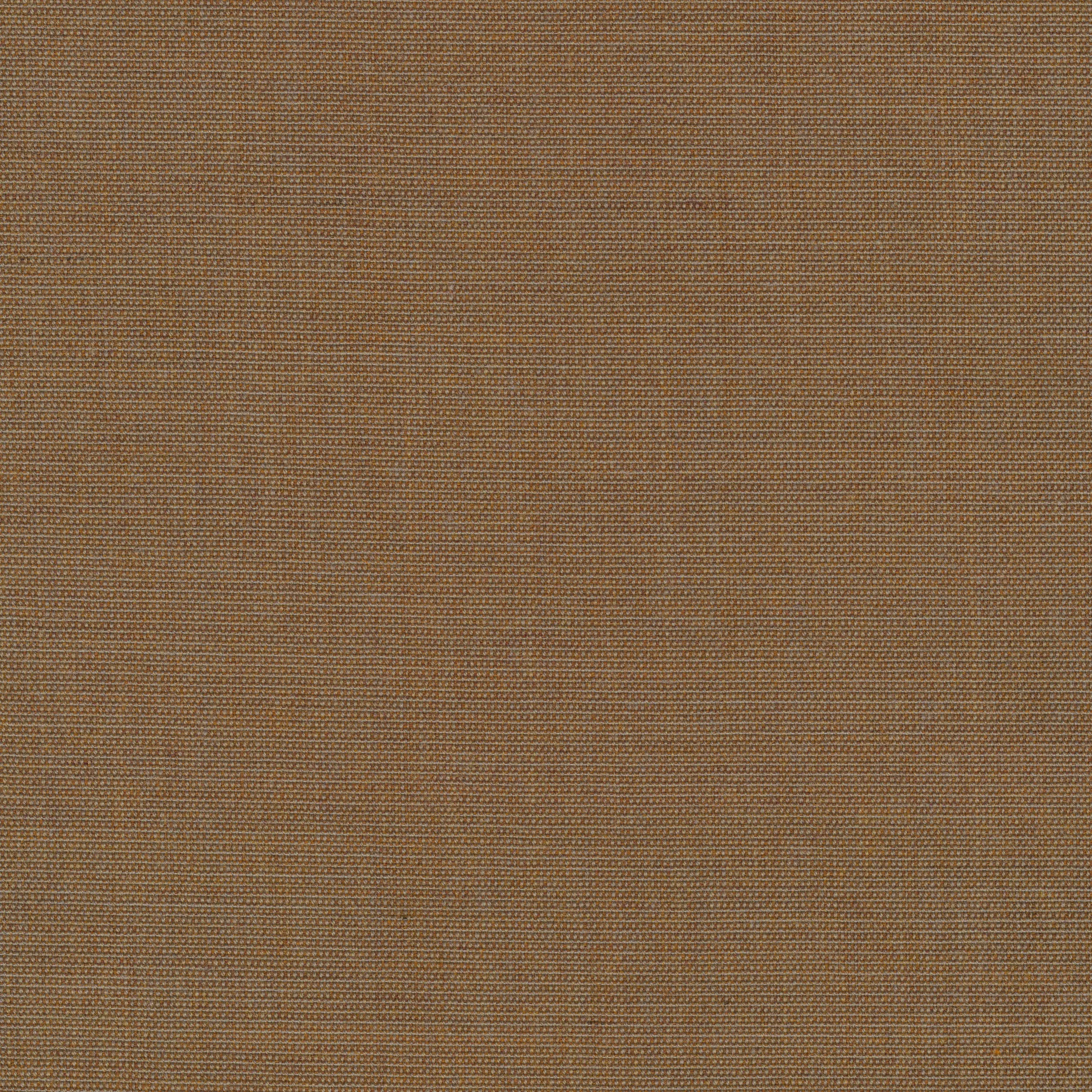 Canvas 2, 254