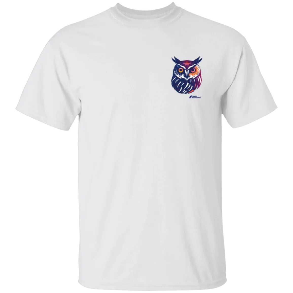 Colorful Eagle G500B Youth 5.3 oz 100% Cotton T-Shirt