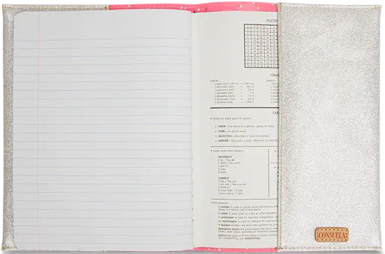 Consuela Shine Notebook Cover