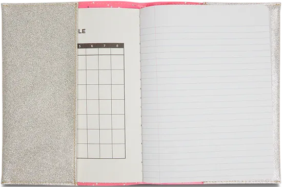 Consuela Shine Notebook Cover