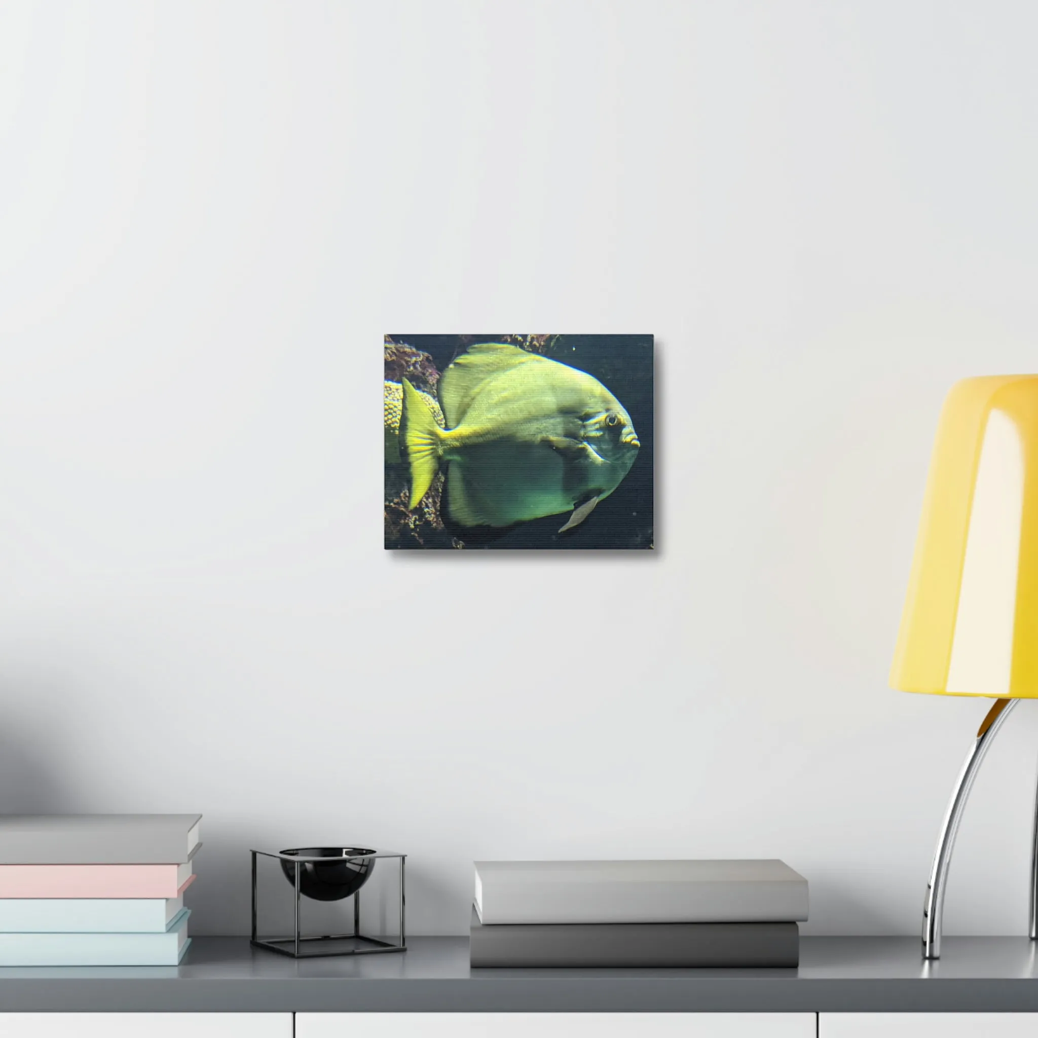 Fish Stretched Canvas