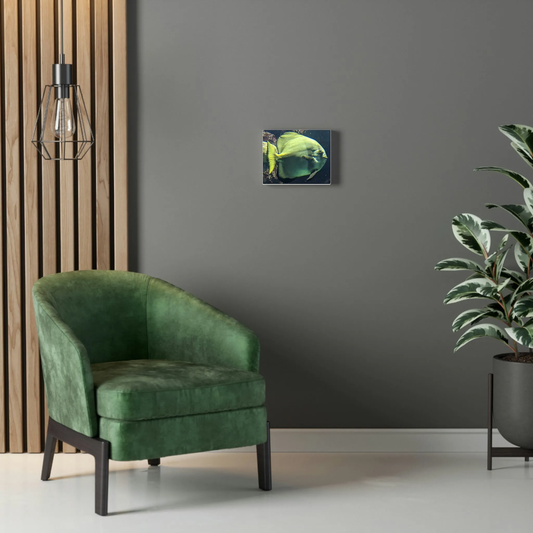 Fish Stretched Canvas