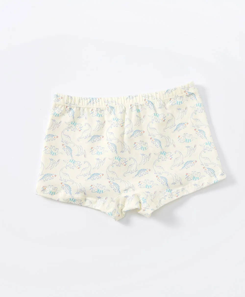 Junior Dinosaur World BOYS Briefs 3-packs