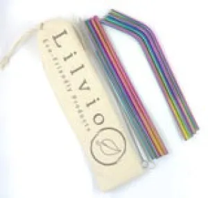 Lilvio Reusable Stainless Steel Straws - Set of 8- Rainbow