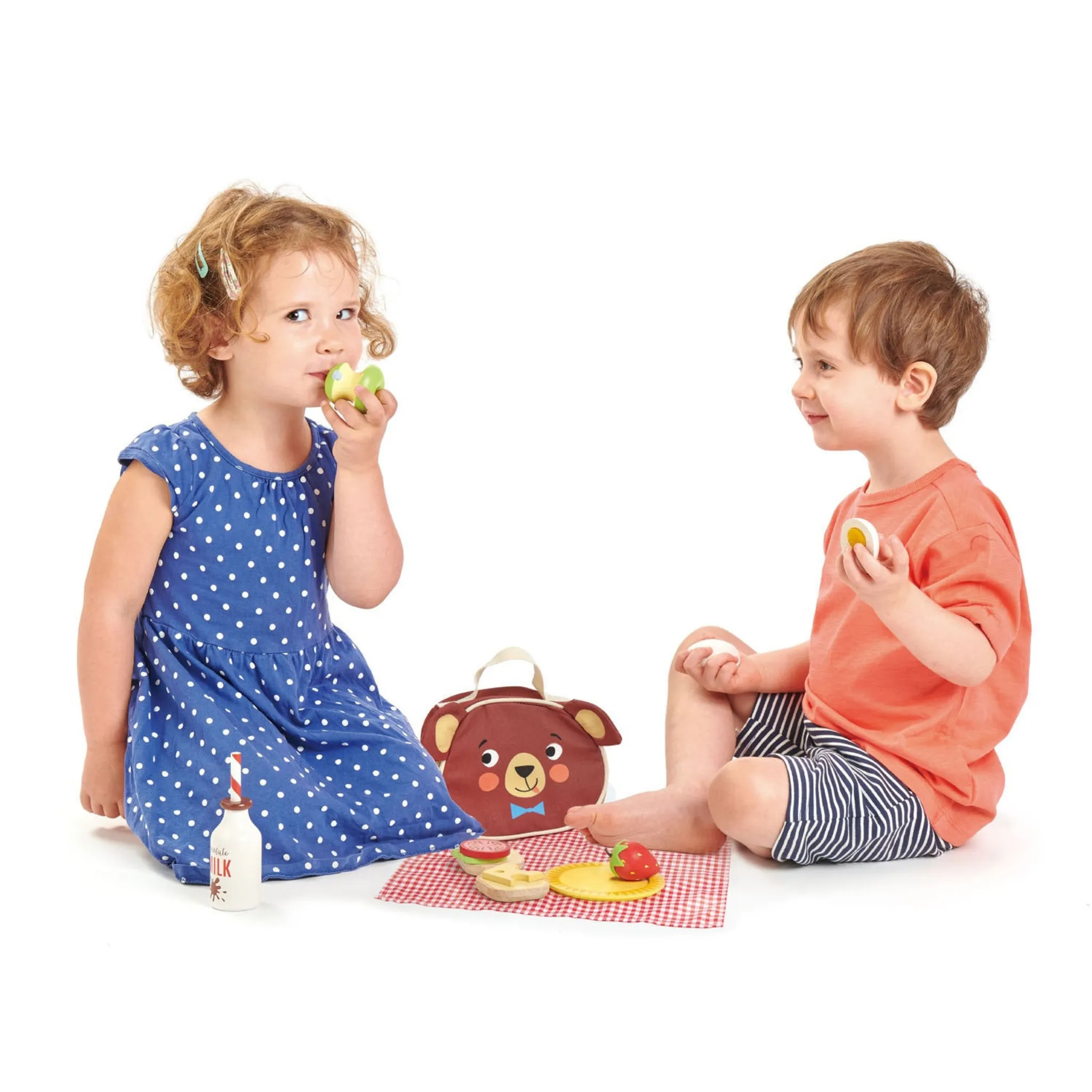 Little Bear’s Picnic Kids Toy