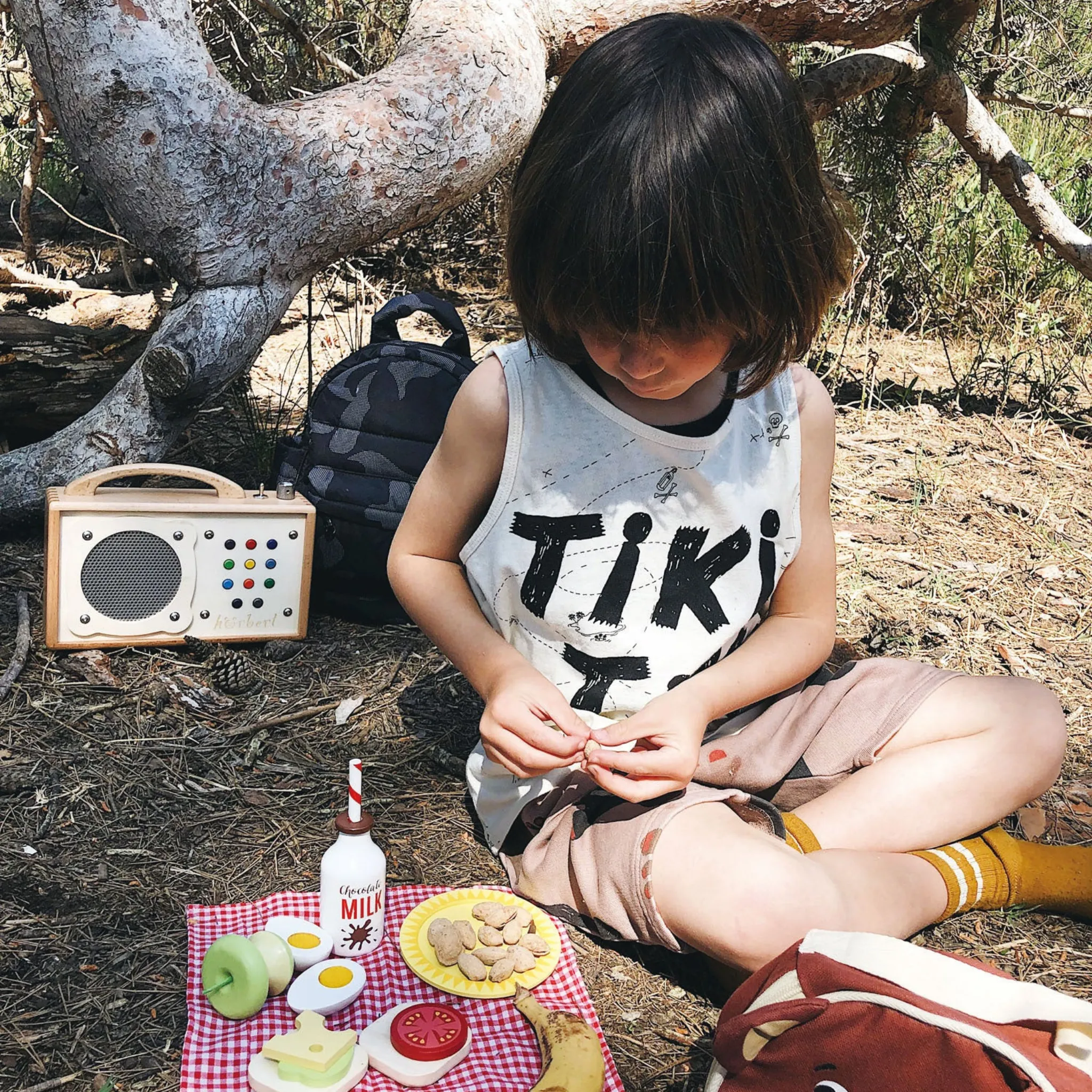 Little Bear’s Picnic Kids Toy