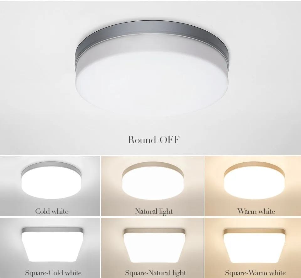 Natural Room Sleek LED Ceiling Light