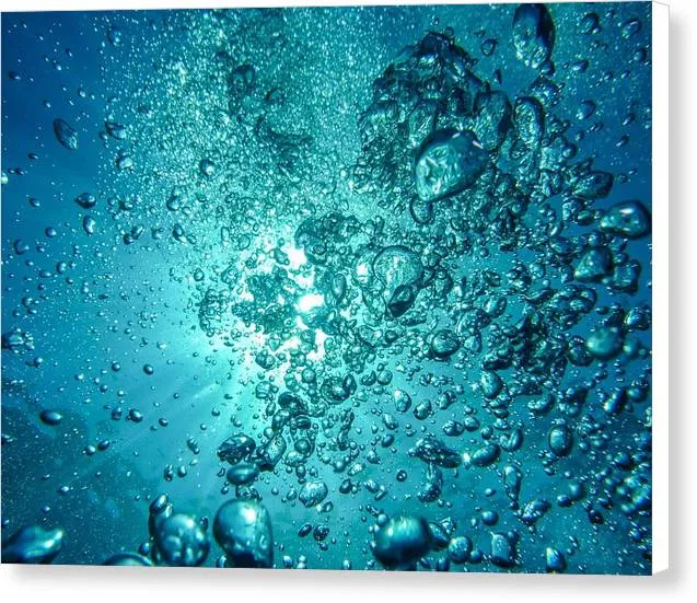 Ocean Bubbles - Canvas Print