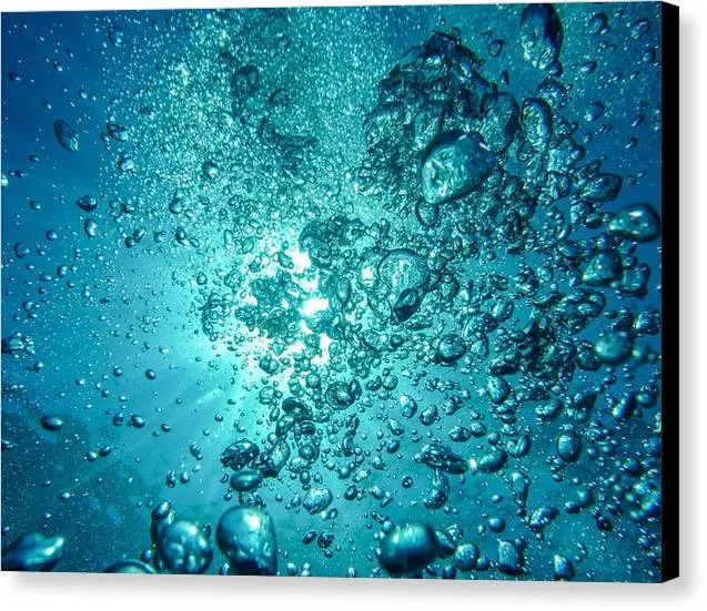 Ocean Bubbles - Canvas Print