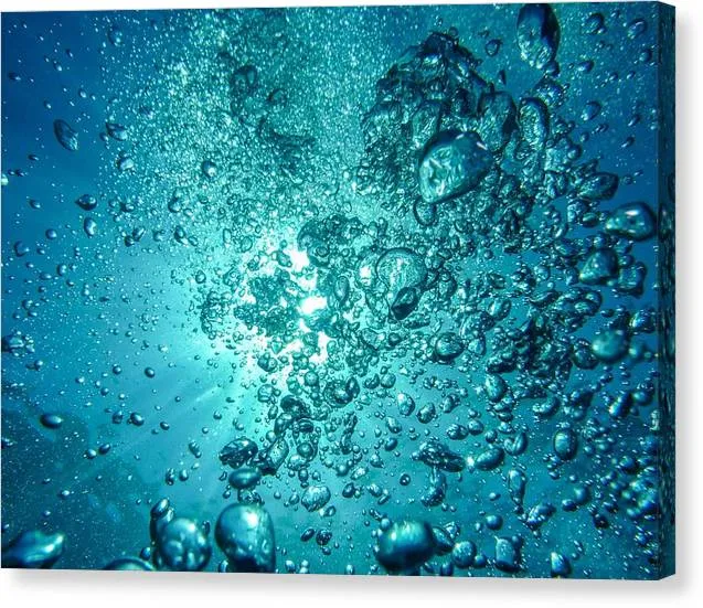Ocean Bubbles - Canvas Print