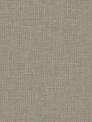 Patagonia Macadam Upholstery Fabric
