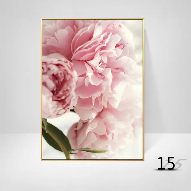 Pink Peony Flowers Wall Art