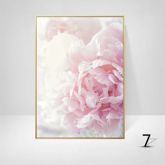Pink Peony Flowers Wall Art