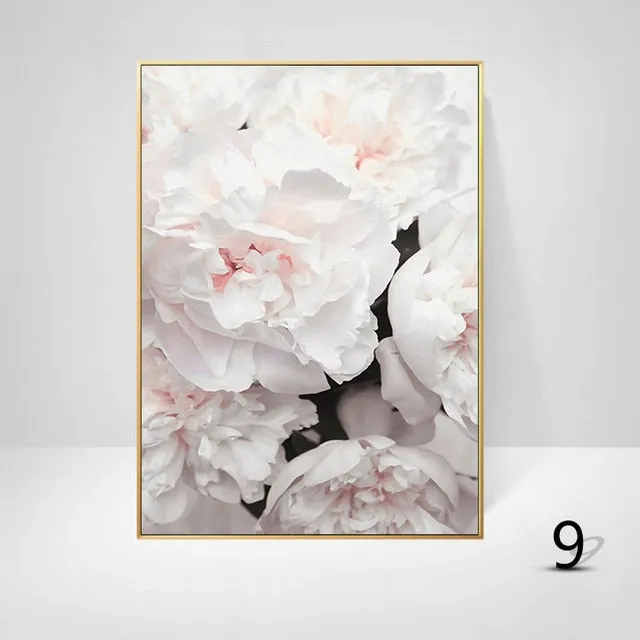 Pink Peony Flowers Wall Art