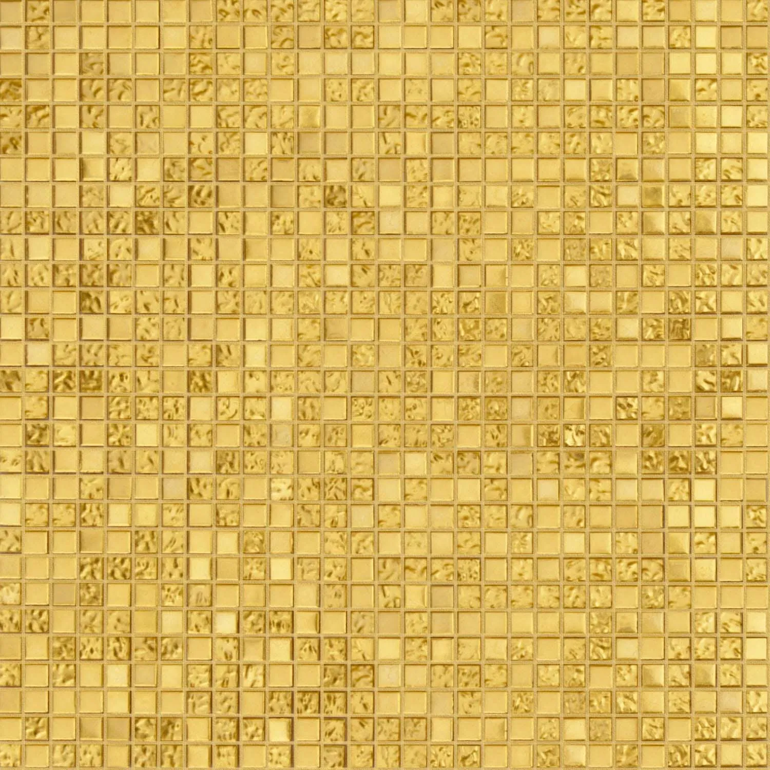 Precious 1 x 1