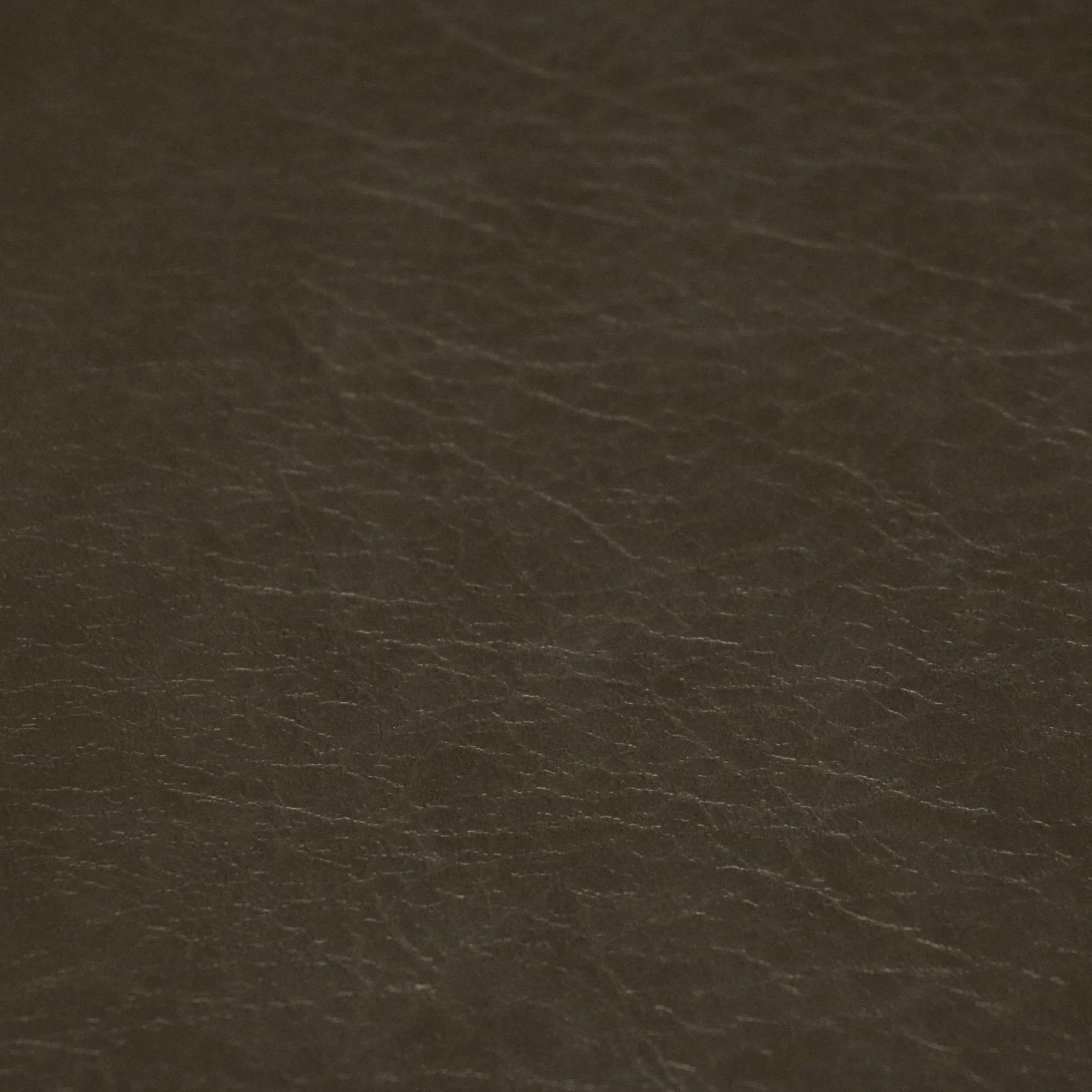PRECUT Faux Leather Lucky Penny Wallet Kit
