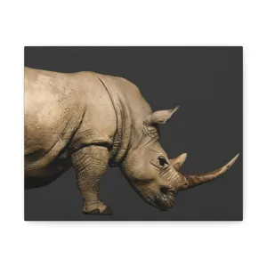 Rhino Stretched Canvas