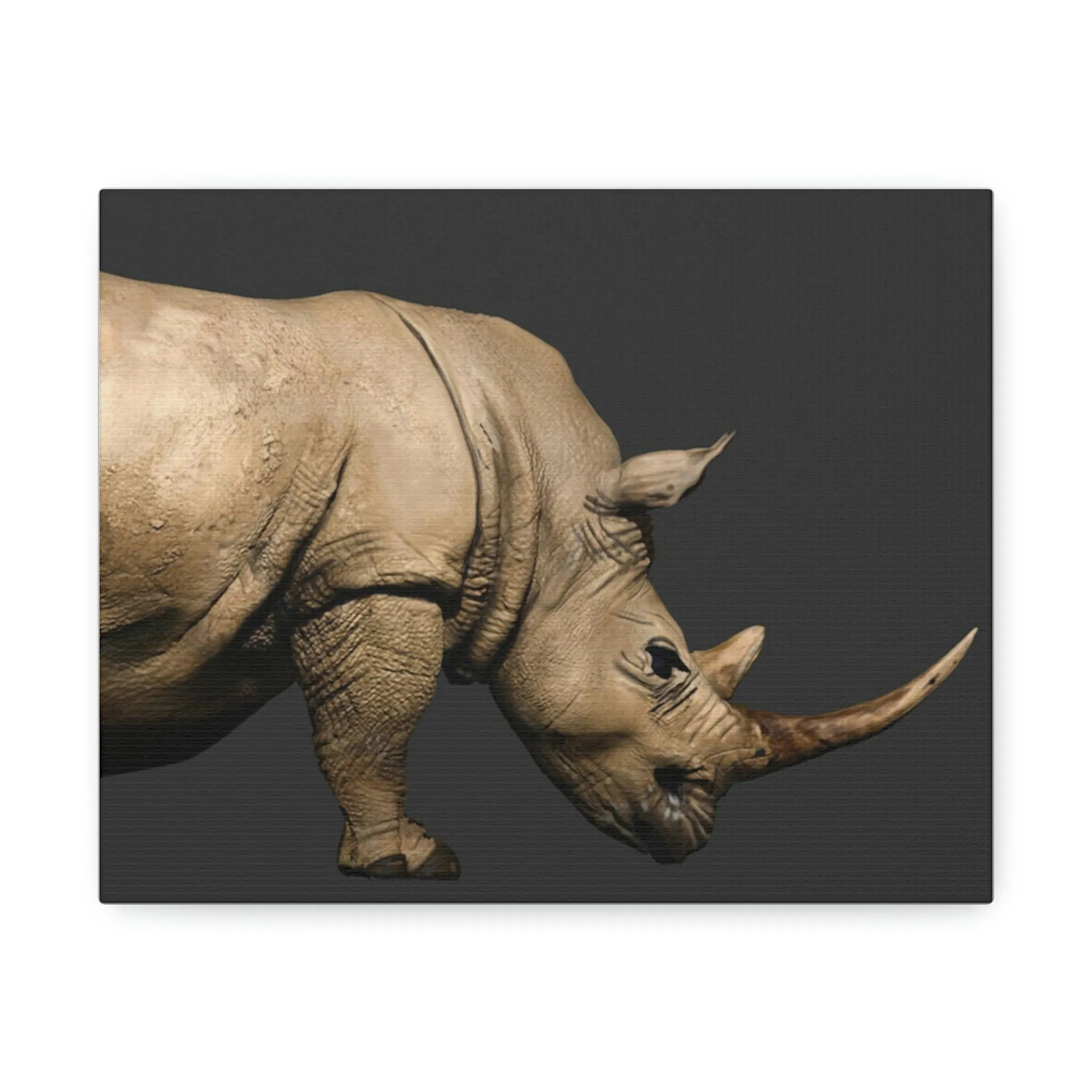 Rhino Stretched Canvas
