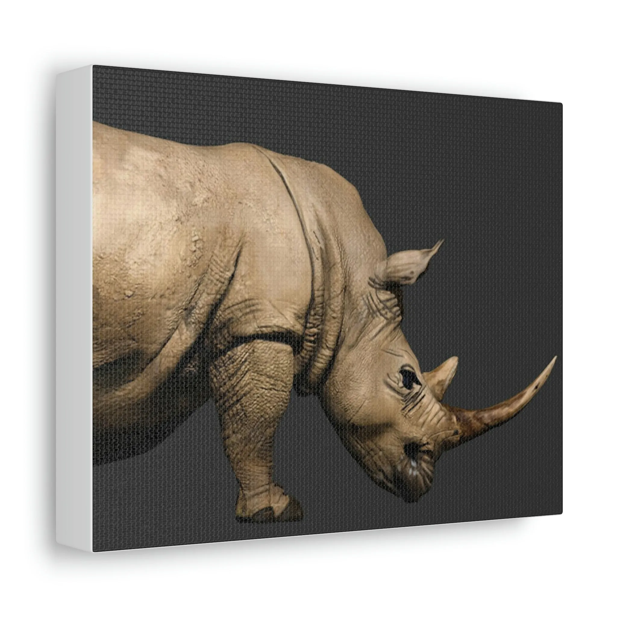Rhino Stretched Canvas