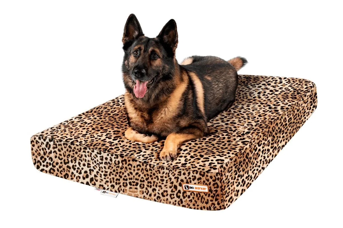 Sleek Edition | Limited Edition Animal Print