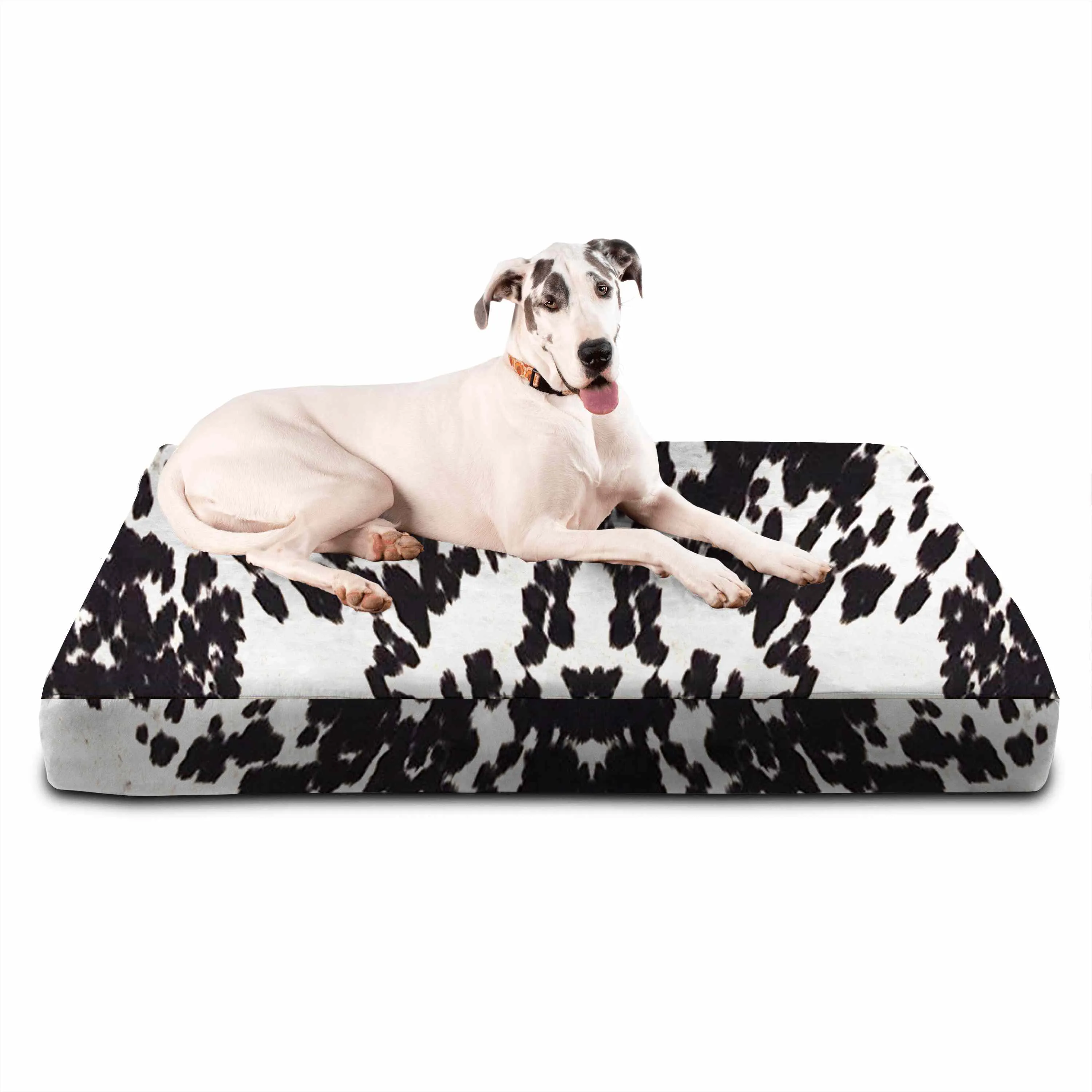 Sleek Edition | Limited Edition Animal Print
