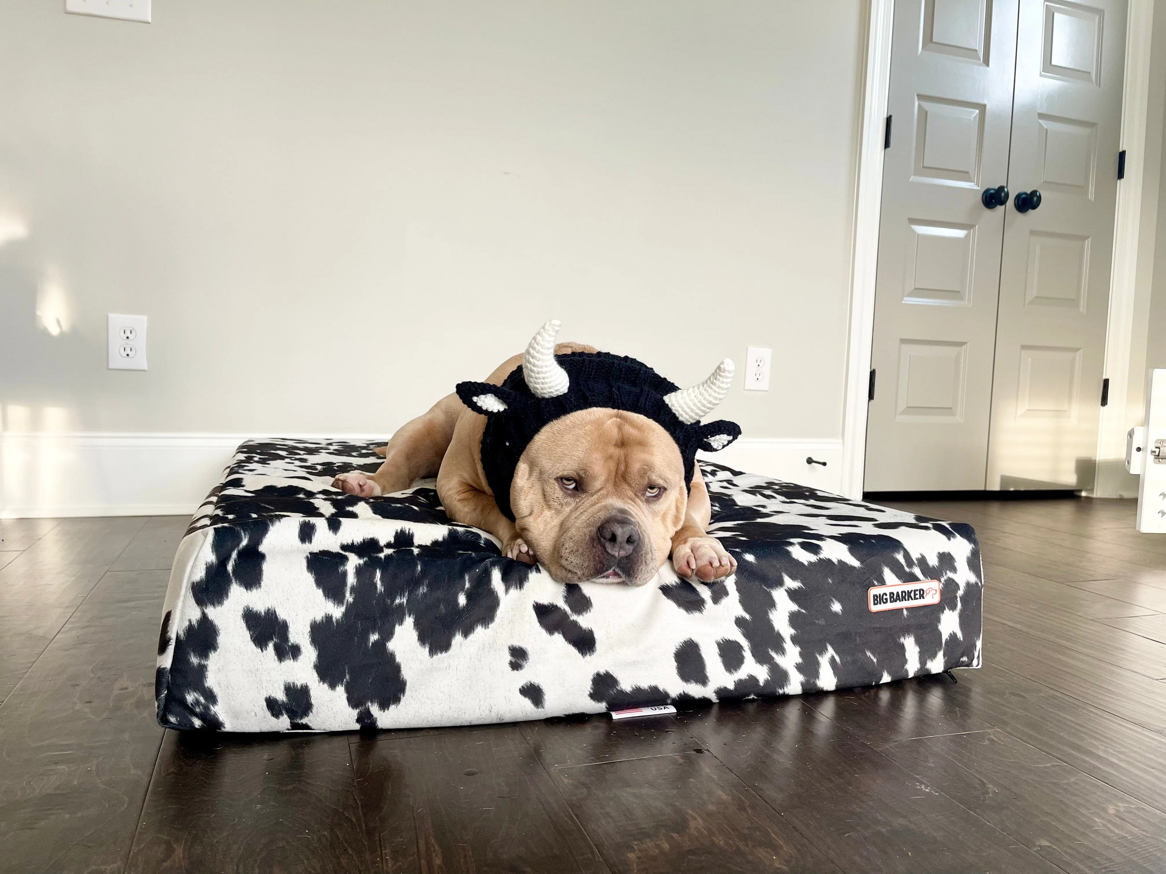 Sleek Edition | Limited Edition Animal Print