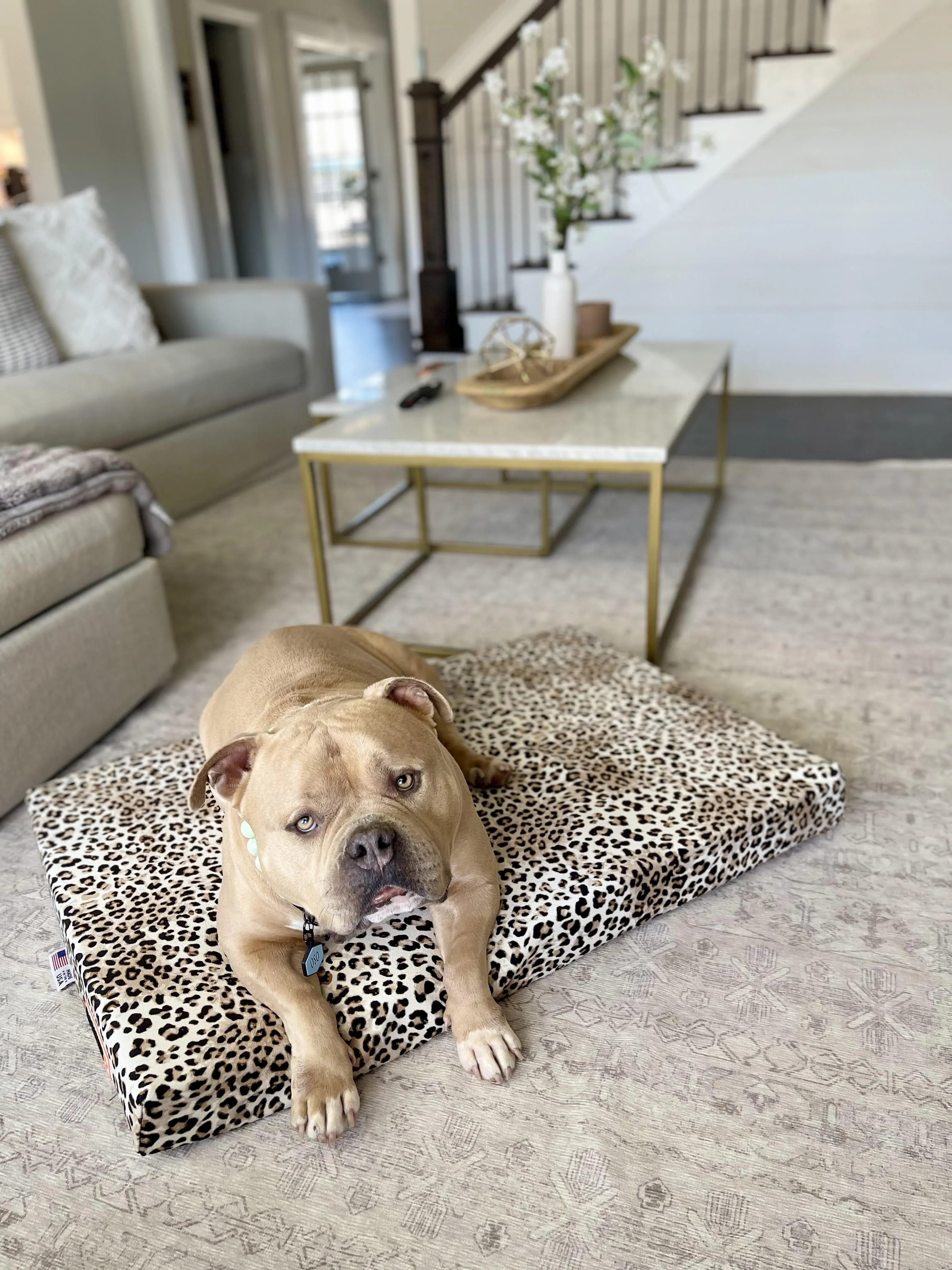 Sleek Edition | Limited Edition Animal Print