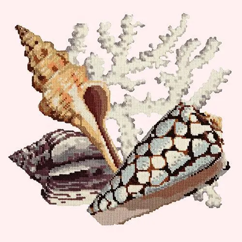 Staghorn