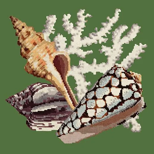 Staghorn
