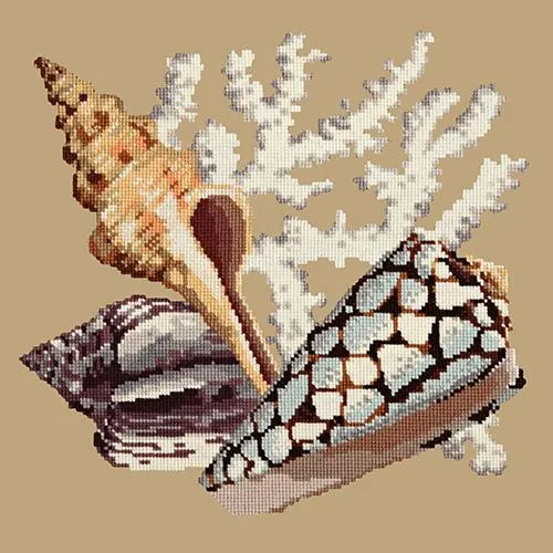 Staghorn