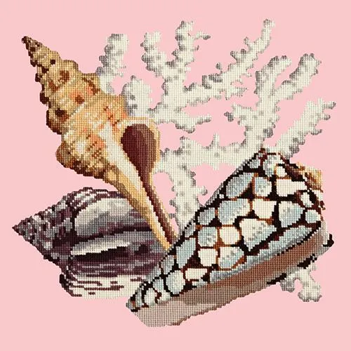 Staghorn