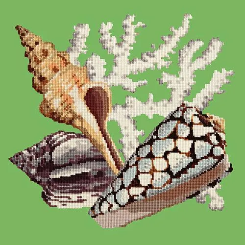 Staghorn