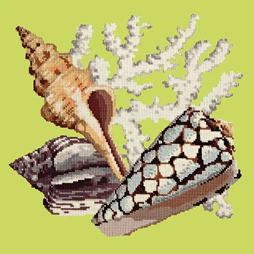 Staghorn