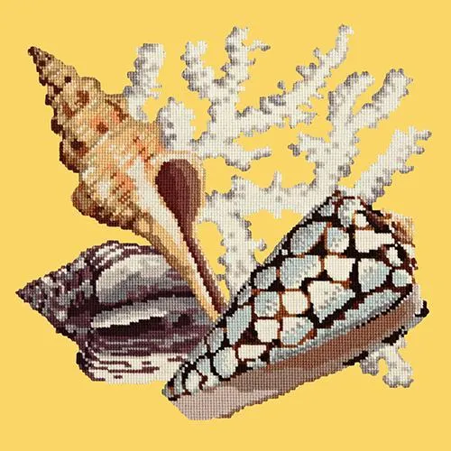 Staghorn