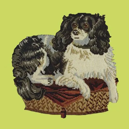 The King Charles Spaniel