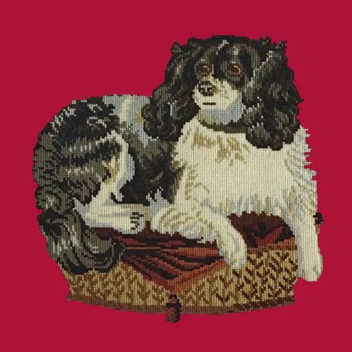 The King Charles Spaniel