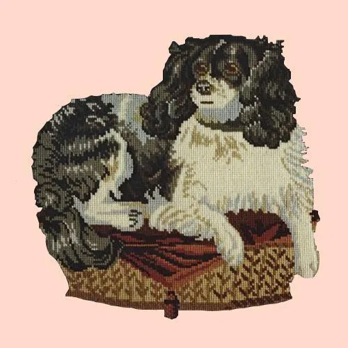 The King Charles Spaniel