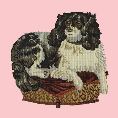 The King Charles Spaniel